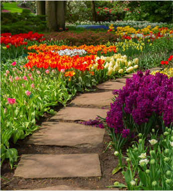 flower bed maintenance Landscapes College Station TX