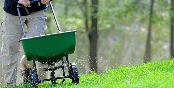 Lawn Care College Station TX