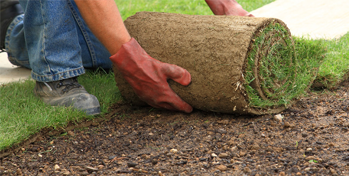 Landscaping College Station TX